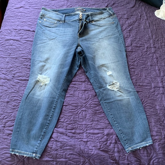 torrid Denim - Torrid Premium Jegging 24s